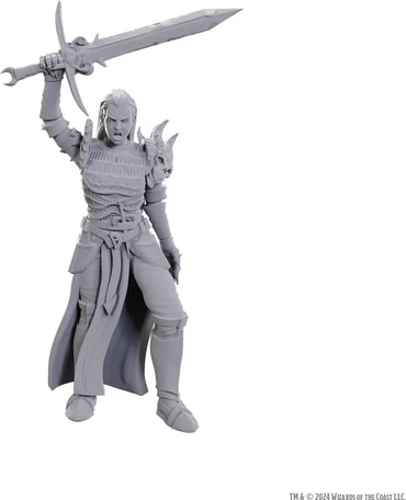 WizKids D&D Nolzur's Marvelous Miniatures: Blackguard