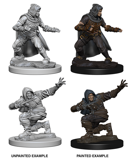 Pathfinder Deep Cuts Unpainted Miniatures: Human Male Rogue