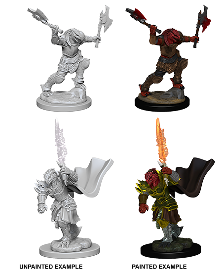 D&D Nolzur's Marvelous Miniatures: Dragonborn Fighter