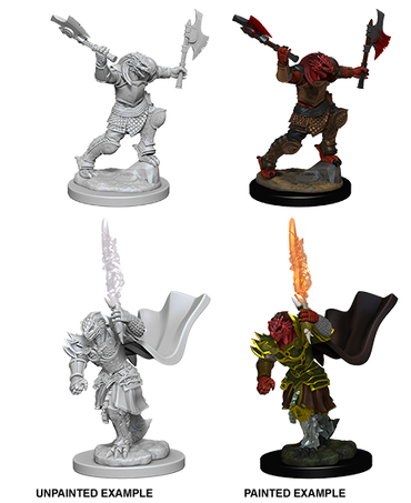 D&D Nolzur's Marvelous Miniatures: Dragonborn Fighter