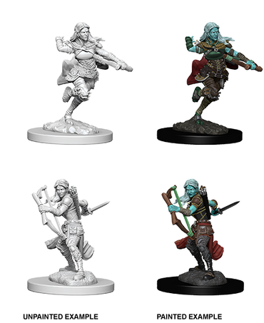 D&D Nolzur's Marvelous Miniatures: Air Genasi Rogue