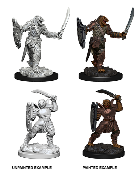 D&D Nolzur's Marvelous Miniatures: Dragonborn Paladin