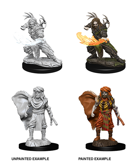 D&D Nolzur's Marvelous Miniatures: Human Druid