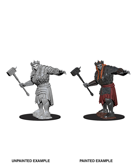 D&D Nolzur's Marvelous Miniatures: Giant