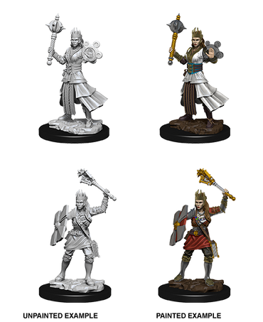 D&D Nolzur's Marvelous Miniatures: Human Cleric