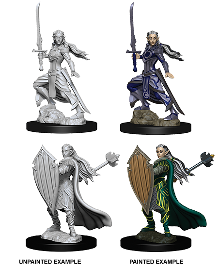 D&D Nolzur's Marvelous Miniatures: Elf Paladin