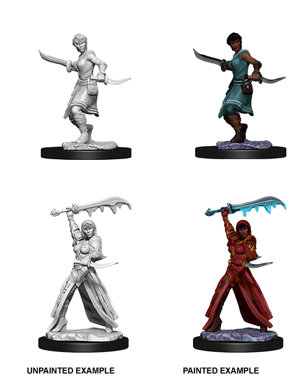 D&D Nolzur's Marvelous Miniatures: Human Rogue