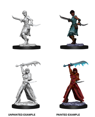 D&D Nolzur's Marvelous Miniatures: Human Rogue