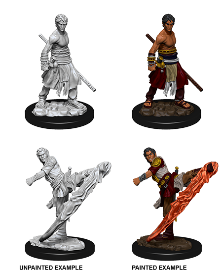 D&D Nolzur's Marvelous Miniatures: Half-Elf Monk