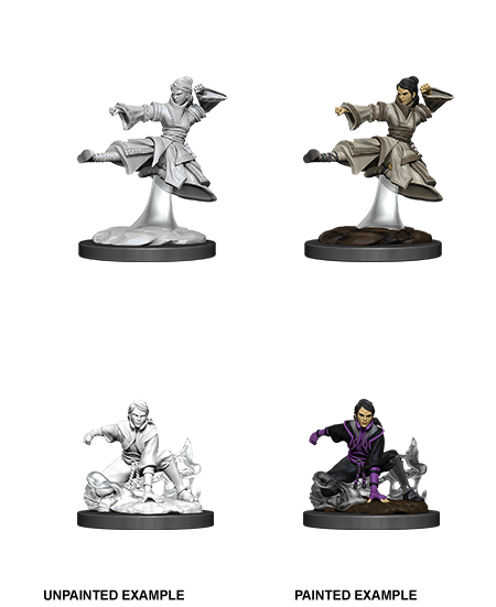 D&D Nolzur's Marvelous Miniatures: Human Monk