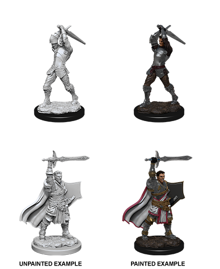 D&D Nolzur's Marvelous Miniatures: Human Paladin