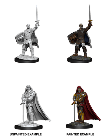 D&D Nolzur's Marvelous Miniatures: Human Paladin