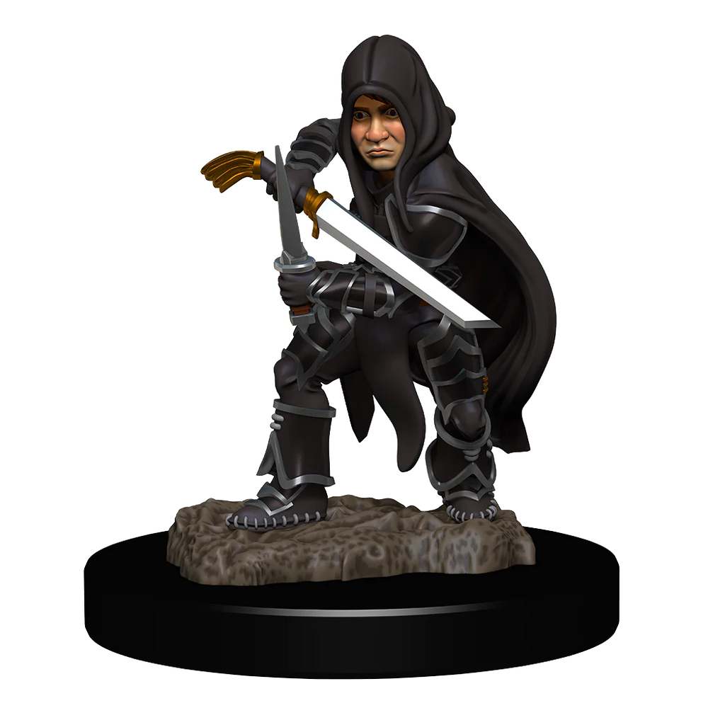 HALFLING ROGUE MALE