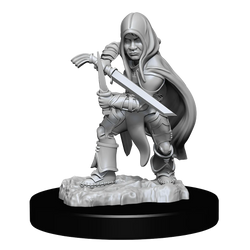 HALFLING ROGUE MALE
