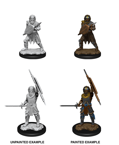 D&D Nolzur's Marvelous Miniatures: Human Fighter