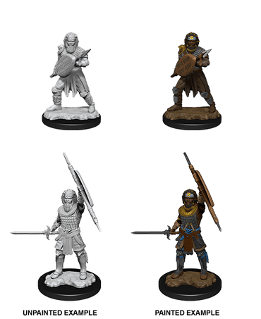 D&D Nolzur's Marvelous Miniatures: Human Fighter