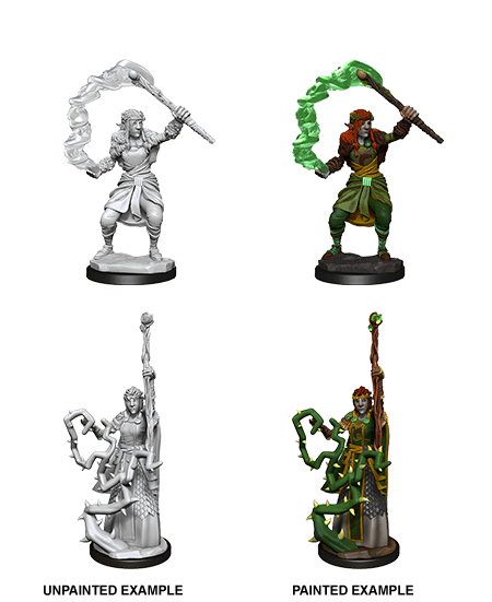 D&D Nolzur's Marvelous Miniatures: Firbolg Druid