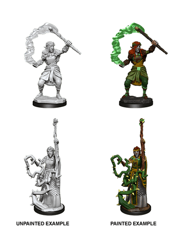 D&D Nolzur's Marvelous Miniatures: Firbolg Druid