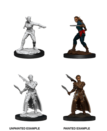 D&D Nolzur's Marvelous Miniatures: Shifter Rogue