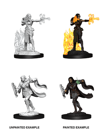 D&D Nolzur's Marvelous Miniatures: Multiclass Warlock + Sorcerer