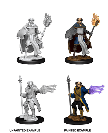 D&D Nolzur's Marvelous Miniatures: Multiclass Cleric + Wizard