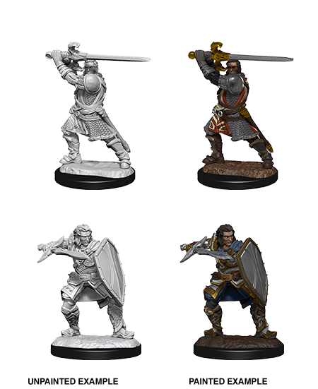 D&D Nolzur's Marvelous Miniatures: Human Paladin