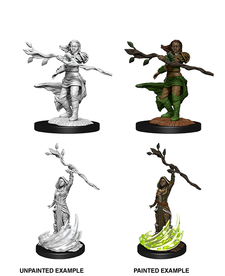 D&D Nolzur's Marvelous Miniatures: Human Druid