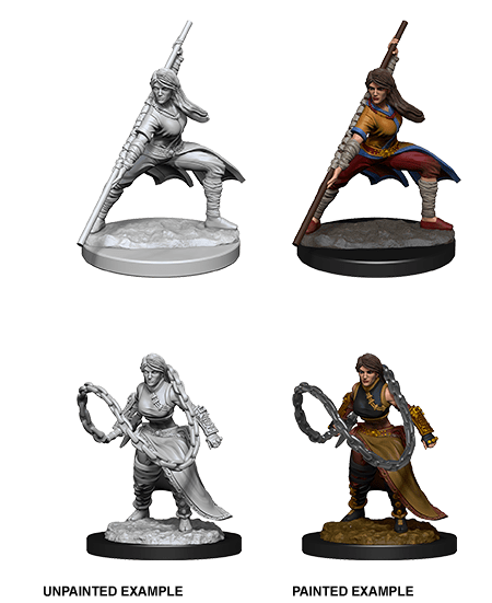 D&D Nolzur's Marvelous Miniatures: Human Monk