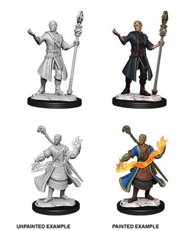 D&D Nolzur's Marvelous Miniatures: Half-Elf Wizard