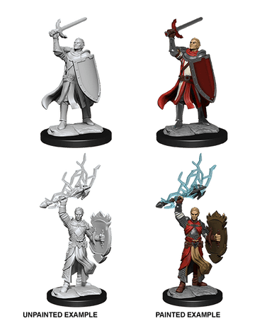 D&D Nolzur's Marvelous Miniatures: Half-Elf Paladin