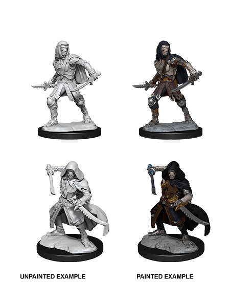 D&D Nolzur's Marvelous Miniatures: Warforged Rogue