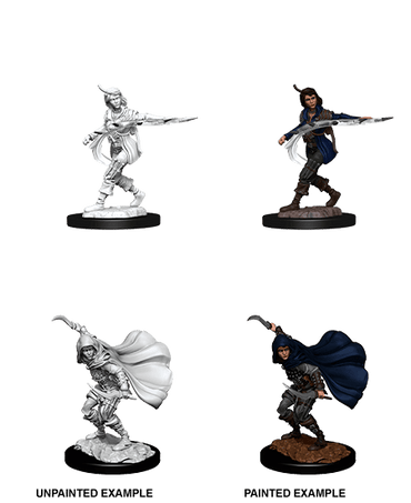 Pathfinder Deep Cuts: Human Rogue Female