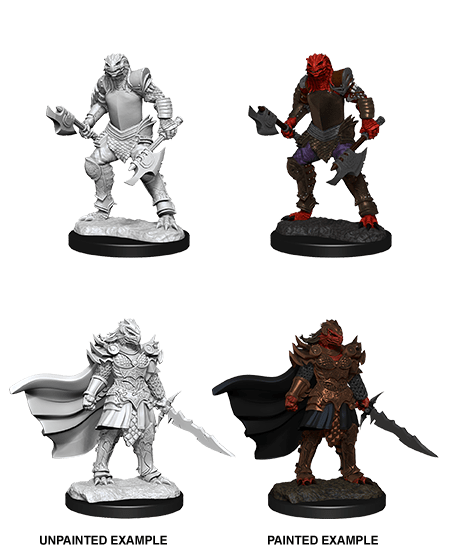 D&D Nolzur's Marvelous Miniatures: Dragonborn Fighter Female