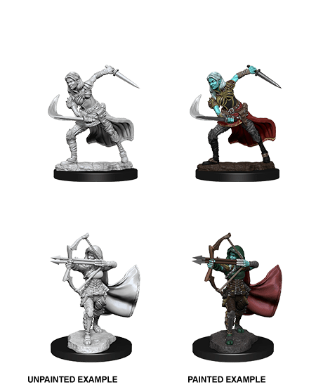 D&D Nolzur's Marvelous Miniatures: Air Genasi Female