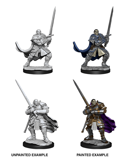 D&D Nolzur's Marvelous Miniatures: Half-Orc Paladin Male