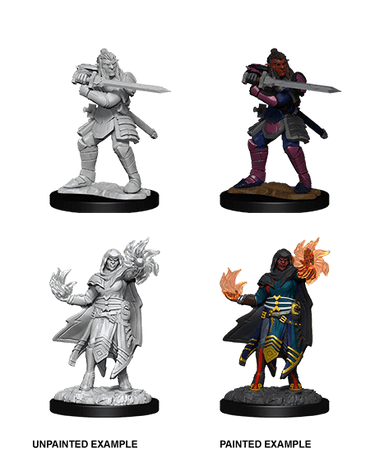 D&D Nolzur's Marvelous Miniatures: Hobgoblin Fighter Male & Hobgoblin Wizard Female