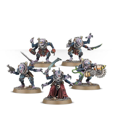 ACOLYTE HYBRIDS