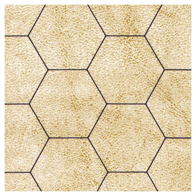 Reversible Battlemat 1" sq/hex