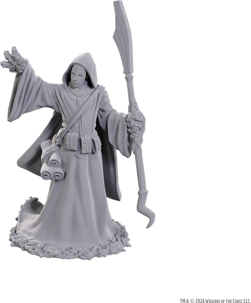WizKids D&D Nolzur's Marvelous Miniatures: Star Spawn Larva Mage