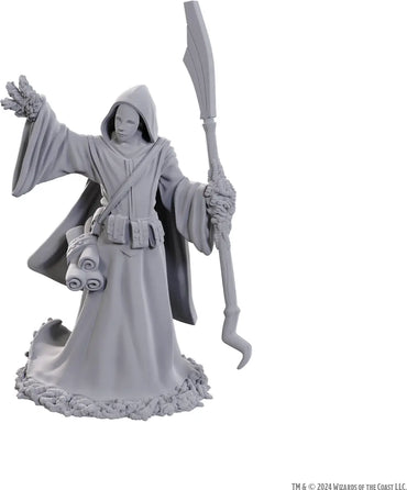 WizKids D&D Nolzur's Marvelous Miniatures: Star Spawn Larva Mage