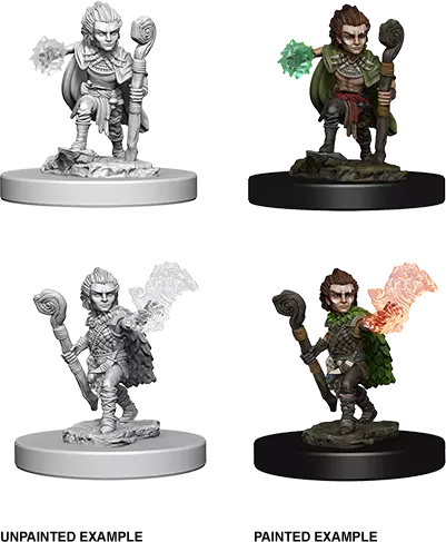 Pathfinder Battles Deep Cuts Miniature Gnome Male Druid