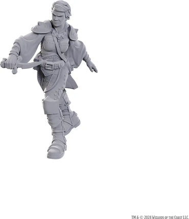 WizKids D&D Nolzur's Marvelous Miniatures: Swashbuckler