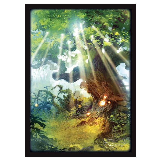 Deck Protector: Lands Forest (50)