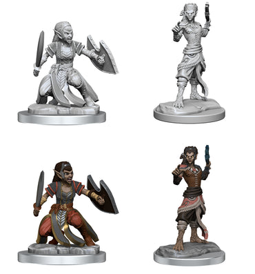 Nolzur's Marvelous Miniatures: Shifter Fighter