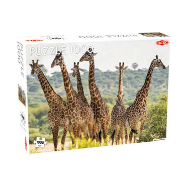 Puzzle: Tall Giraffes 1000 Piece
